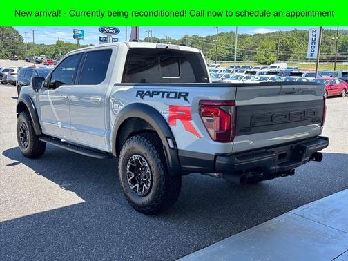 Avalanche 2026 Ford F-150 Raptor