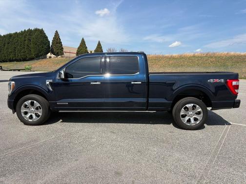 2022 Ford F-150 Platinum