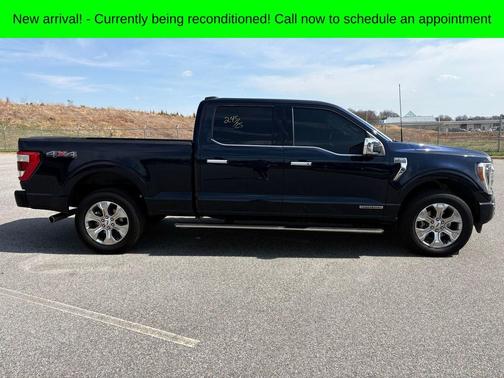 2022 Ford F-150 Platinum