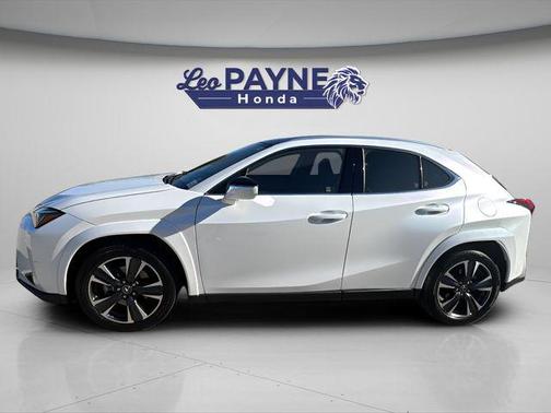 2025 Lexus UX 300h Premium