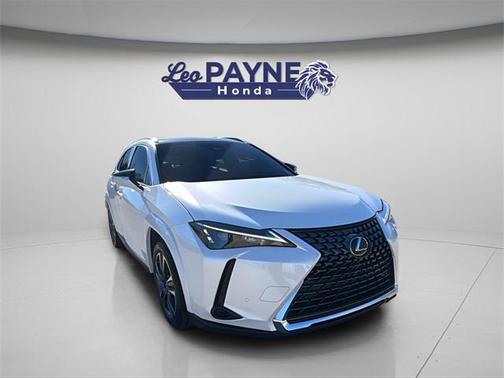 2025 Lexus UX 300h Premium