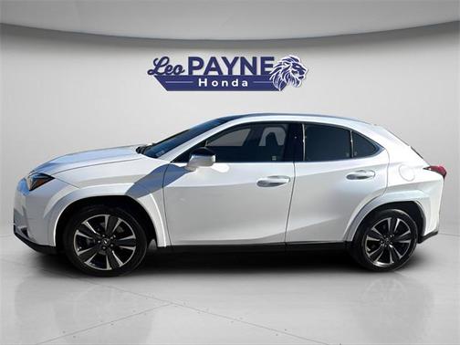 2025 Lexus UX 300h Premium