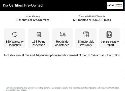 Panthera Metal 2024 Kia Carnival LX