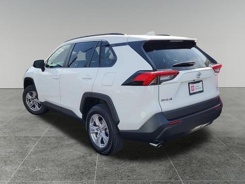 Ice Cap 2025 Toyota RAV4 XLE