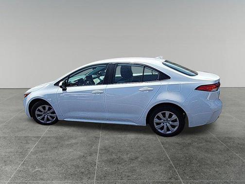 Ice Cap 2023 Toyota Corolla LE
