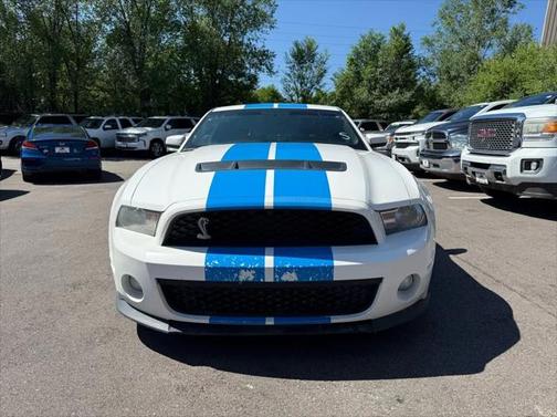 2010 Ford Shelby GT500 Base