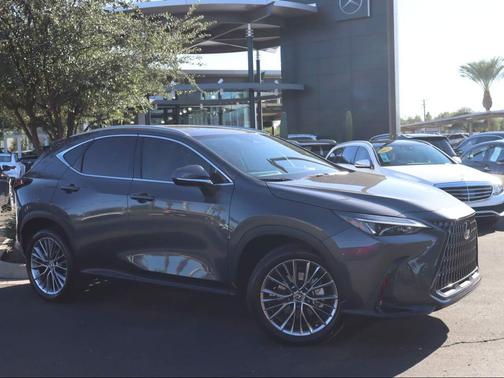 2022 Lexus NX 350 Luxury