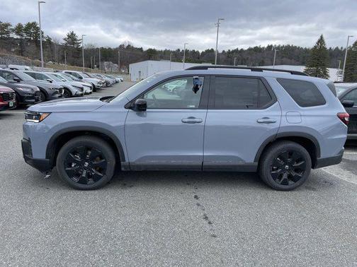 Sonic Gray Pearl 2026 Honda Pilot Black Edition