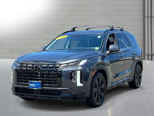 Steel Graphite 2024 Hyundai PALISADE XRT