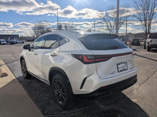 2024 Lexus NX 350h AWD