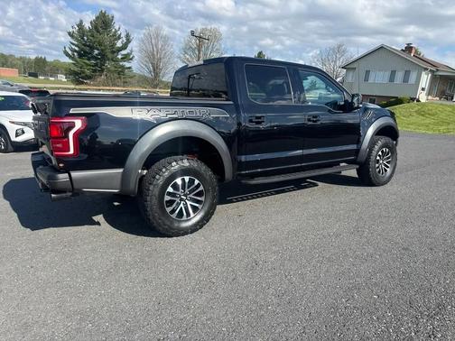Agate Black 2019 Ford F-150 Raptor