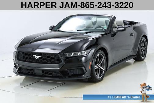 Shadow Black 2024 Ford Mustang EcoBoost Premium