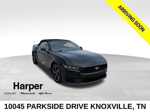 Shadow Black 2024 Ford Mustang EcoBoost Premium