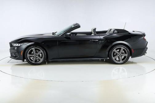 Shadow Black 2024 Ford Mustang EcoBoost Premium