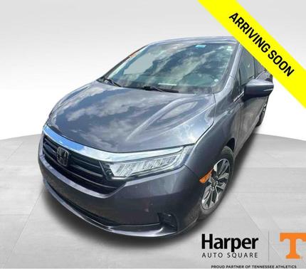 2024 Honda Odyssey EX-L