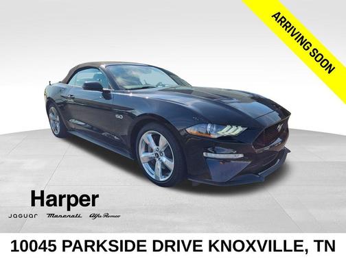 Shadow Black 2019 Ford Mustang GT Premium
