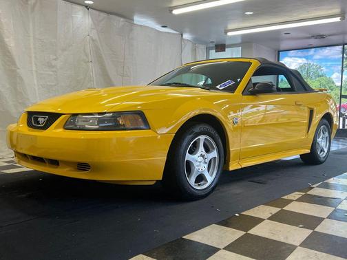 Screaming Yellow Clearcoat 2004 Ford Mustang Deluxe