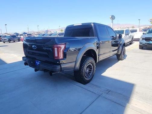 Black Metallic 2019 Ford F-150 Raptor