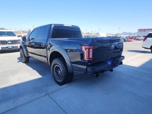 Black Metallic 2019 Ford F-150 Raptor