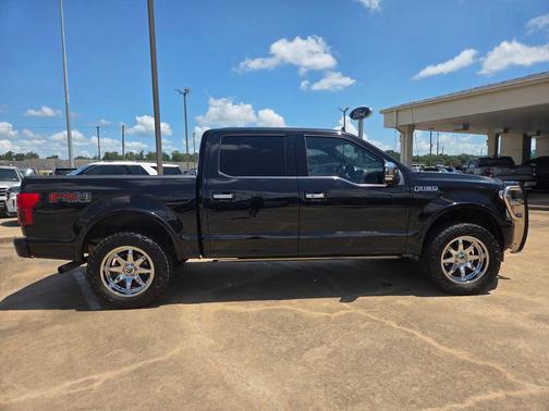 Agate Black Metallic 2019 Ford F-150 Platinum