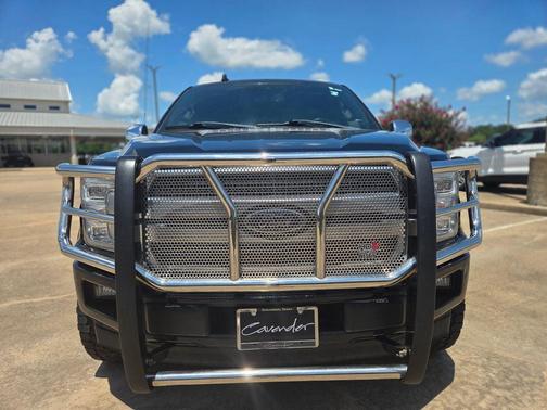 Agate Black Metallic 2019 Ford F-150 Platinum