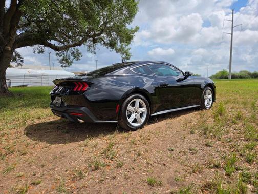 SHADOW BLACK 2026 Ford Mustang EcoBoost