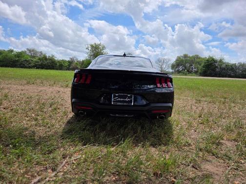 Shadow Black 2026 Ford Mustang EcoBoost