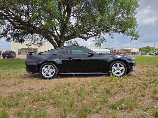 Shadow Black 2026 Ford Mustang EcoBoost