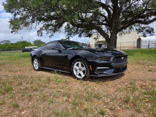 Shadow Black 2026 Ford Mustang EcoBoost