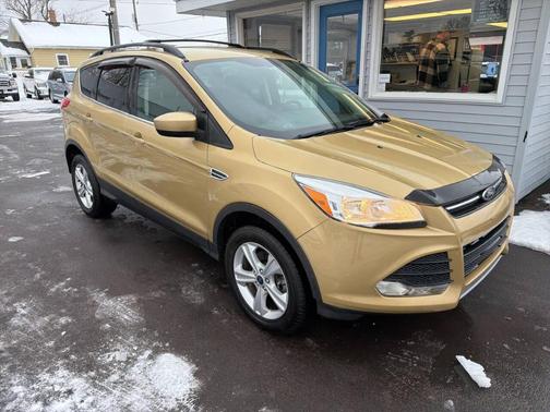 Gold 2014 Ford Escape SE