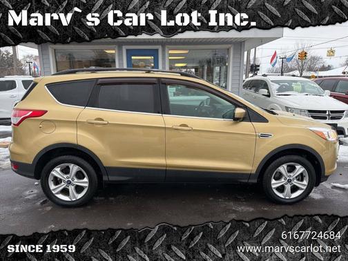 Gold 2014 Ford Escape SE