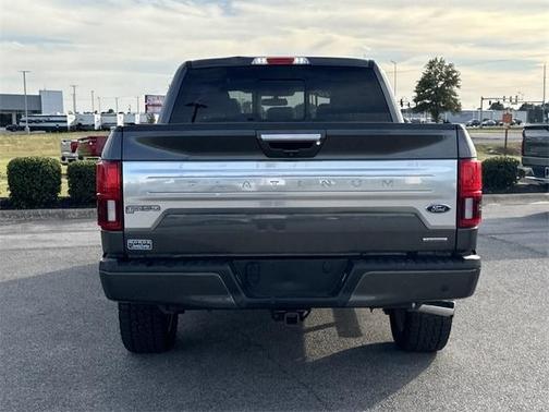 2019 Ford F-150 Platinum