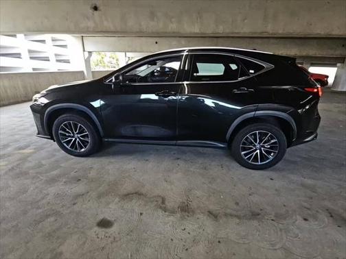2024 Lexus NX 350h Premium