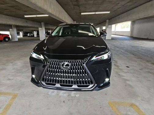 2024 Lexus NX 350h Premium
