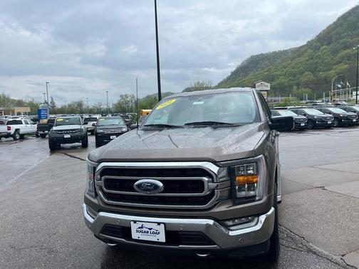 Stone Gray Metallic 2021 Ford F-150 XLT