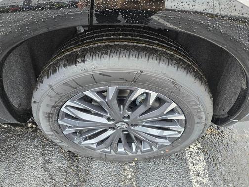 Everest White P 2026 Nissan Rogue Platinum