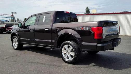 2019 Ford F-150 Platinum