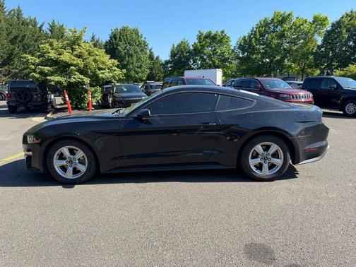 Shadow Black 2019 Ford Mustang EcoBoost