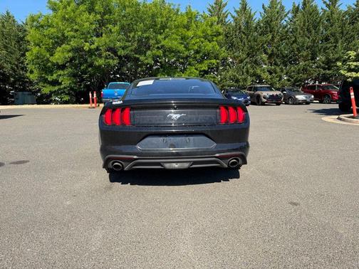 Shadow Black 2019 Ford Mustang EcoBoost