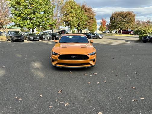 2019 Ford Mustang EcoBoost