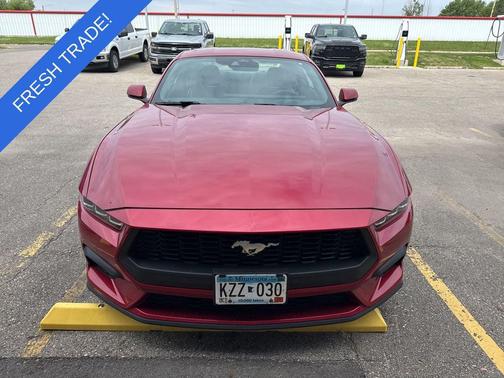 Rapid Red Metallic Tinted Clearcoat 2024 Ford Mustang EcoBoost Premium