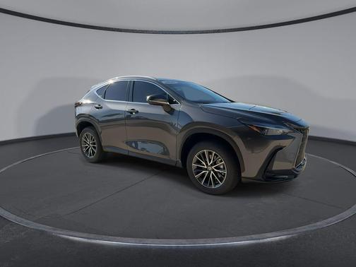 Cloudburst Gray 2026 Lexus NX 350 NX 350
