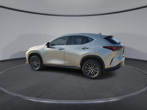 Atomic Silver 2024 Lexus NX 250 Premium