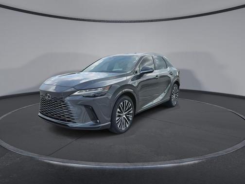 Cloudburst Gray 2025 Lexus RX 350 Premium Plus