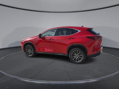 Redline 2024 Lexus NX 250 Premium