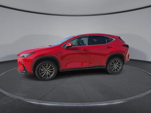 Redline 2024 Lexus NX 250 Premium