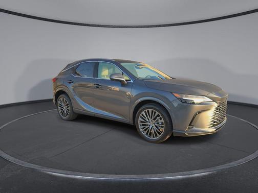 Cloudburst Gray 2026 Lexus RX 350 Luxury