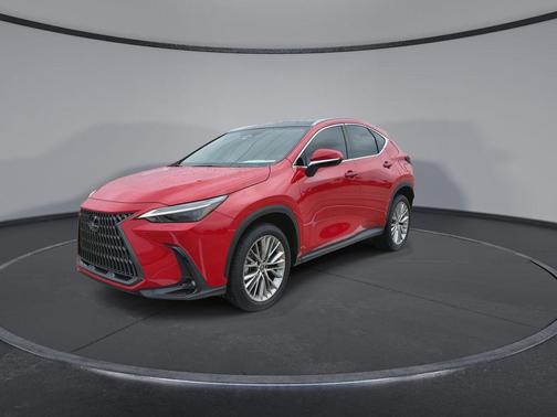Redline 2025 Lexus NX 350 Luxury