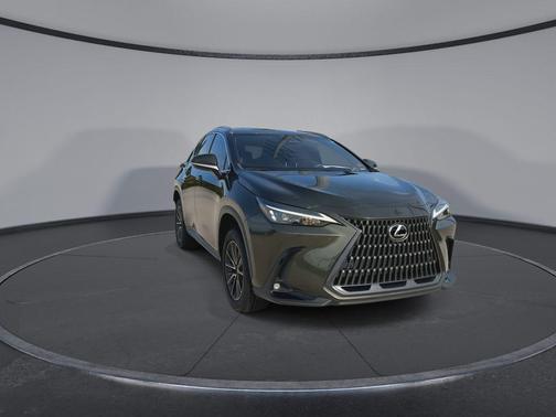 Nori Green Pearl 2024 Lexus NX 250 Premium