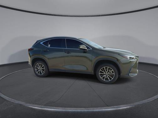 Nori Green Pearl 2024 Lexus NX 250 Premium